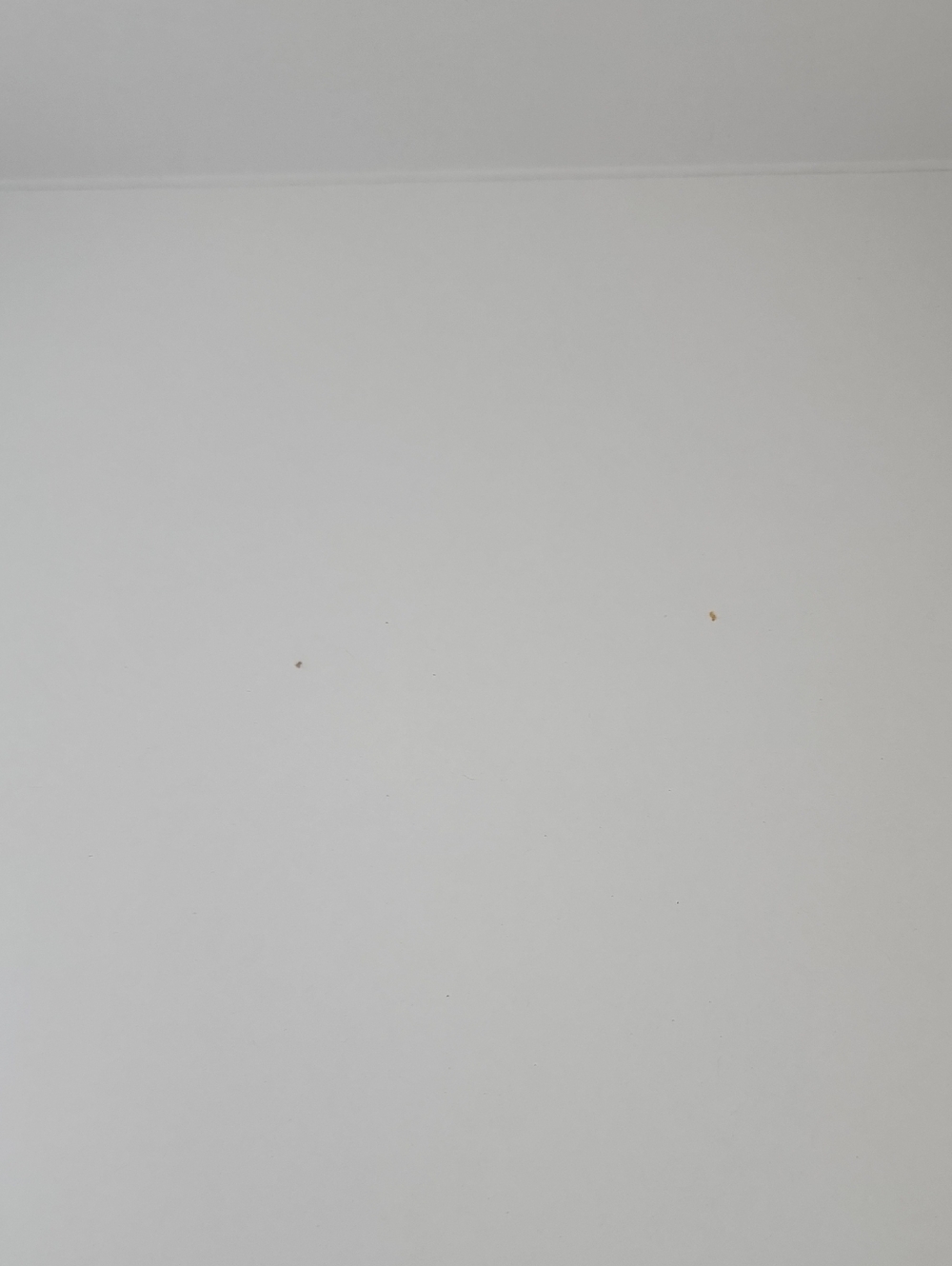 Christian Dior Gift Box New 9" x 9" x 4.5" - Picture 12 of 12